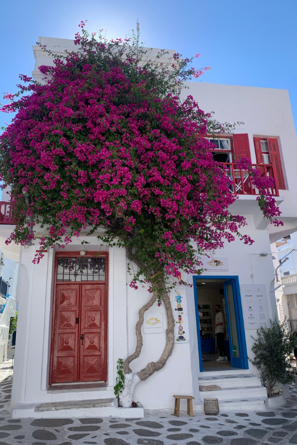 mykonos greece 2 days