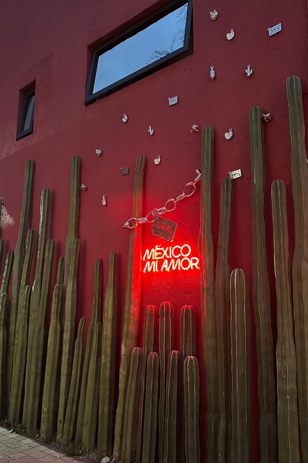 things to do near Mexico City